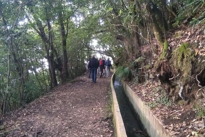 Ribeiro Frio - Portela - The Experience of the Guides