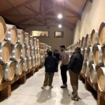 Ribera del Duero Small Group Tour: Tapas & Wine Tasting - Why This Tour Is Worth Considering