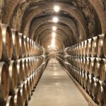 Ribera del Duero Tour: Two Wineries with Transport from Madrid - Authenticity and Value