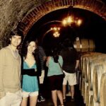 Ribera del Duero Winery Guided Tour and Wine Tasting from Madrid - Authentic Experiences That Stand Out