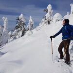 Riisitunturi National Park Snowshoe Experience - The Practical Side: Value and Considerations