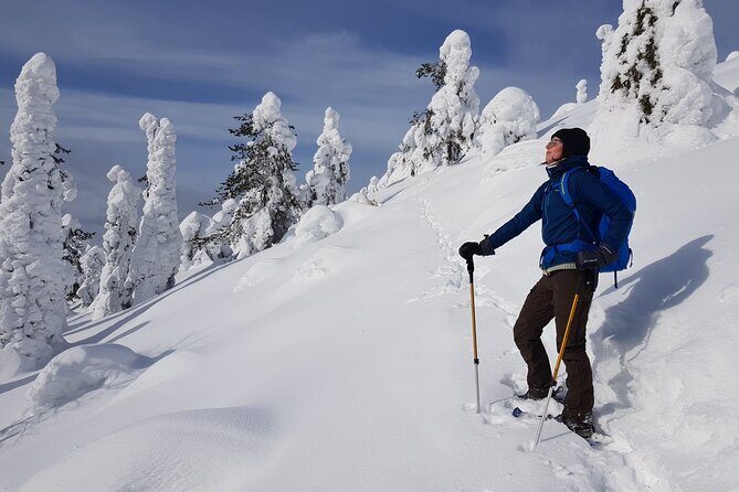Riisitunturi National Park Snowshoe Experience - The Practical Side: Value and Considerations