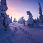 Riisitunturi wilderness adventure - Authentic Experiences from Reviews