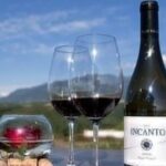 Rila Monastery and Wine Tasting Tour - The Practicalities: Transportation, Timing, and Comfort