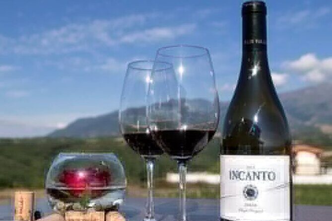 Rila Monastery and Wine Tasting Tour - The Practicalities: Transportation, Timing, and Comfort