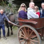 Ring of Kerry Tour Private Chauffeur Driven From Killarney Luxury - Final Thoughts