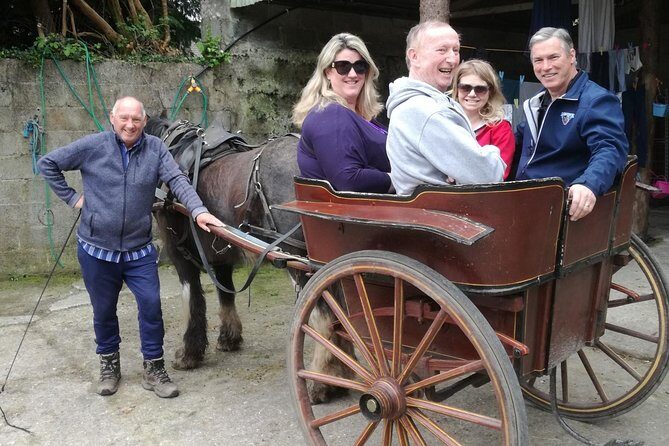 Ring of Kerry Tour Private Chauffeur Driven From Killarney Luxury - Final Thoughts