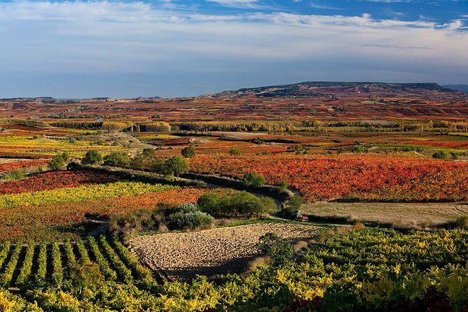 Rioja Alavesa Wineries and Medieval Villages Day Trip - Final Thoughts: Why This Tour Stands Out
