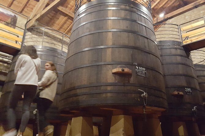 Rioja Full Experience Tour from San Sebastian with Lunch - What the Itinerary Looks Like in Practice