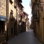 Rioja wine region with visit to winery & Vitoria-Gasreiz - The Value of This Tour