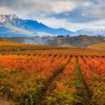 Rioja Wine Tour - Scenic Drive & the Architecture of Bodegas Marques de Riscal