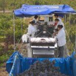 Rioja Wine Tour: Winery, Tasting & Lunch from San Sebastian - Final Thoughts: Who Should Consider This Tour?