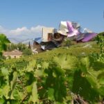 Rioja Wine Tour: Winery & Traditional Lunch From Pamplona - Why This Tour Stands Out
