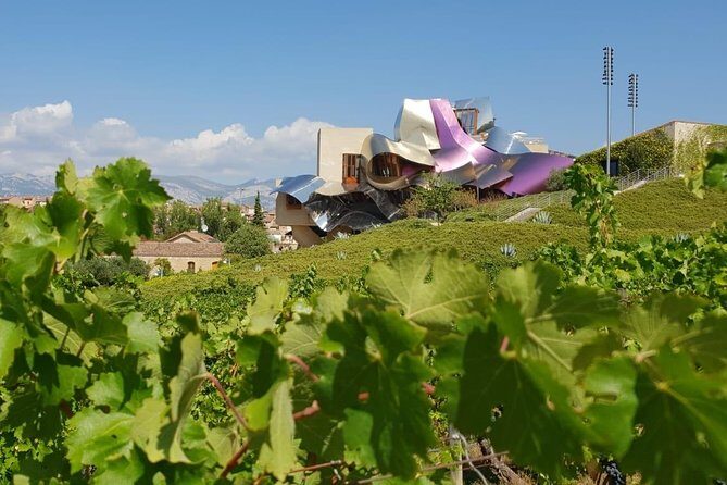 Rioja Wine Tour: Winery & Traditional Lunch From Pamplona - Why This Tour Stands Out