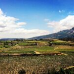 Rioja's Top wines tasting private tour - FAQ