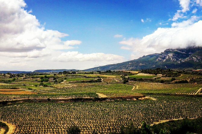 Rioja's Top wines tasting private tour - FAQ