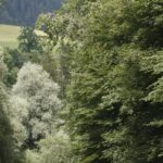 River Rafting Simme with OUTDOOR - The Heart of the Experience: Navigating the Rapids