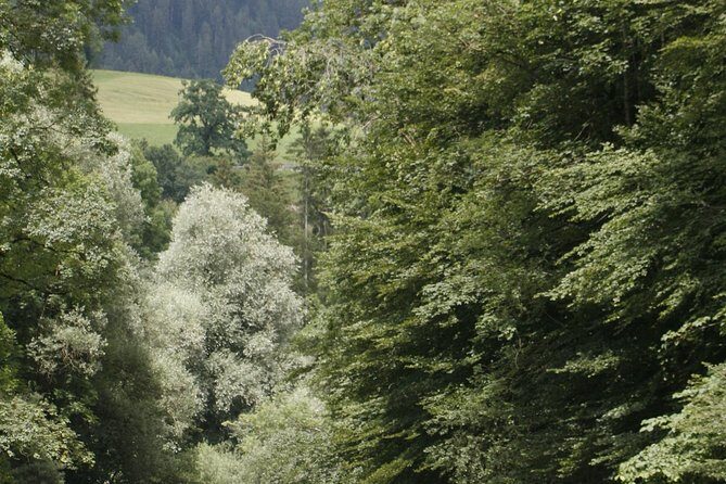 River Rafting Simme with OUTDOOR - The Heart of the Experience: Navigating the Rapids