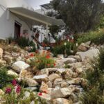 Riverbank Adventure in Naxos (Kinidaros - Eggares) - The Old Olive Mill: A Taste of Naxos’s Agricultural Heritage