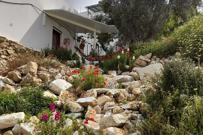 Riverbank Adventure in Naxos (Kinidaros - Eggares) - The Old Olive Mill: A Taste of Naxos’s Agricultural Heritage