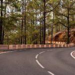 Road Cycling Tenerife - Vilaflor Route - Who Will Love This Experience?