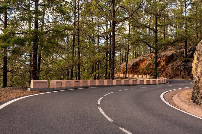 Road Cycling Tenerife - Vilaflor Route - Who Will Love This Experience?