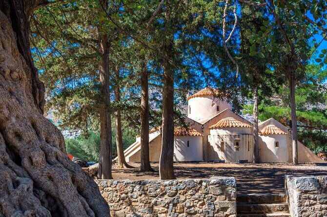 Road-trip to Lasithi: Vidiani, Krasi, Olive Mill Farm, Lasinthos - The Experience in Practice