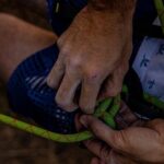 Rock Climbing in Crete with a Guide at Heraklion - Who Is This Tour Perfect For?