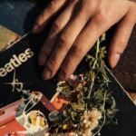 Rock N Roll & Seedy SoHo - What’s Included and What’s Not