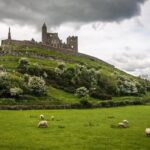 Rock Of Cashel And Blarney Castle Private Chauffeur Full Day Sightseeing Tour - What the Reviews Say