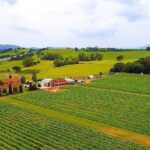 Romantic Vespa Tour and Wine Tasting - The Sum Up