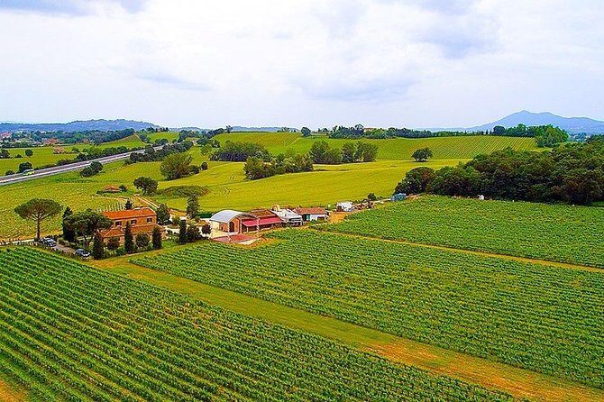 Romantic Vespa Tour and Wine Tasting - The Sum Up