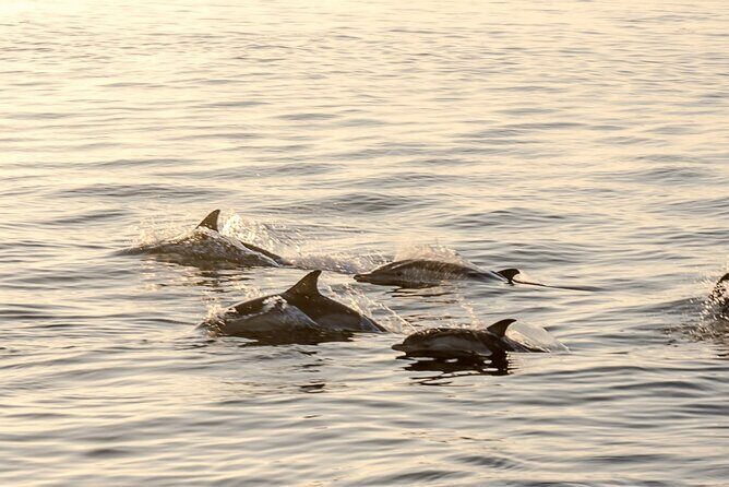 Romatic sea experience (Sunset + overnight + Breakfast) - Final Thoughts