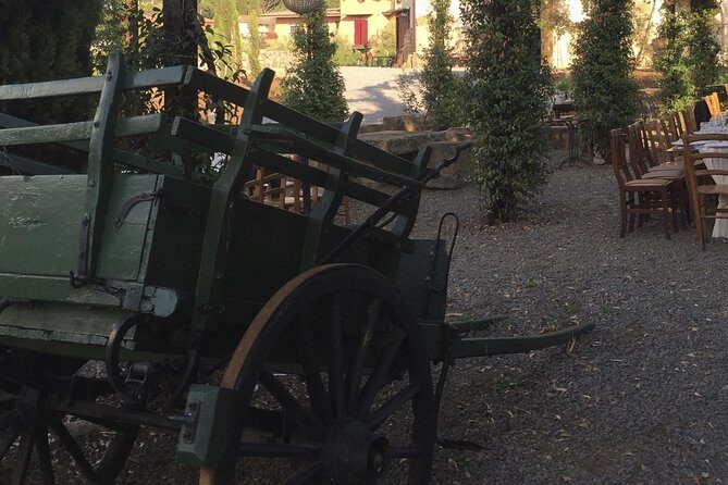 Rome - Castelli Romani Private Wine Tasting - Final Thoughts: Is This Wine Tour Worth It?