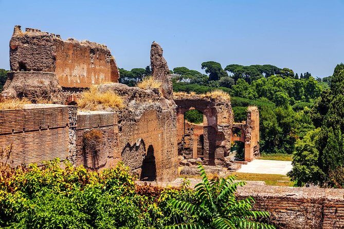 Rome Exclusive Caracalla Bath Private Guided Tour VIP Entry - Who Should Consider This Tour?