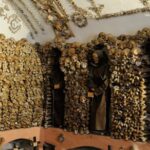 Rome for Kids: Private Underground Adventure Tour - Why This Tour Offers Great Value