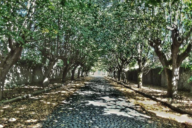 Rome: Frascati Vineyard Bike Tour with Train Tickets - Analysis of Price and Value