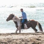 Rome: Horseback Riding on the Beach with aperitif - Price and Value Analysis