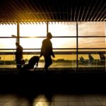 Rome Private Transfer from to Rome Airport Train Station or Hotel - The Practical Side: Price and Booking