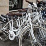 Rome: Rental Bicycle 24 Hours - The Bikes and the Ride Quality