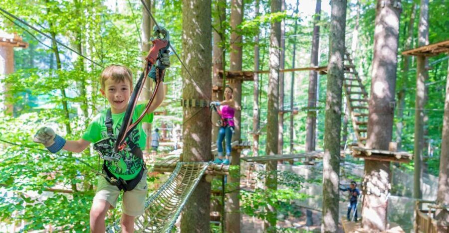 Rope Park Interlaken: Climbing Adventure with Entry Ticket - What to Expect at Rope Park Interlaken