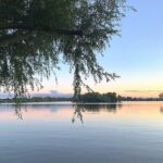 Rotterdam countryside on the wheels - bike tour around city - The Sum Up