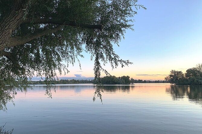 Rotterdam countryside on the wheels - bike tour around city - The Sum Up