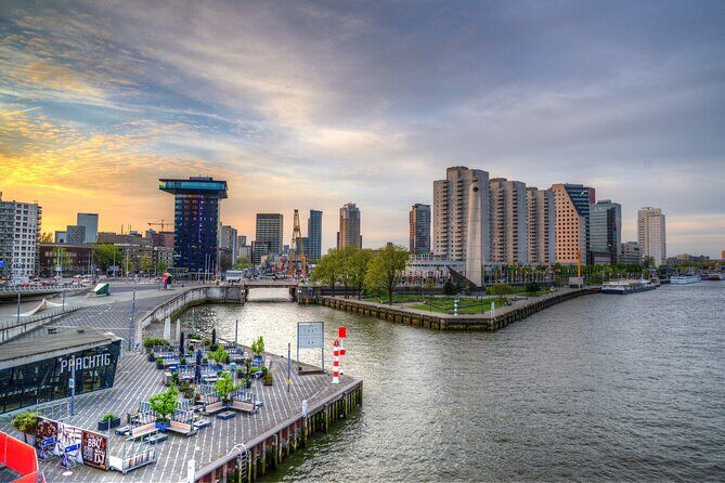 Rotterdam Private Walking Tour With A Professional Guide - The Value of a Private Guided Tour