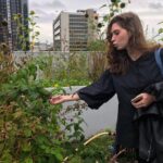 Rotterdam Travel to the Future Walking Tour - Street Art and Public Sculptures: Modern Rotterdam’s Artistic Voice