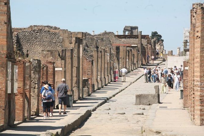 Round-Trip Shuttle Transfer from Naples to Pompeii - Transportation Quality and Comfort