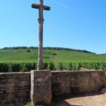 "Route des grands crus", private wine tasting in Burgundy ! - What to Expect During the Wine Tastings