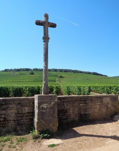 "Route des grands crus", private wine tasting in Burgundy ! - What to Expect During the Wine Tastings
