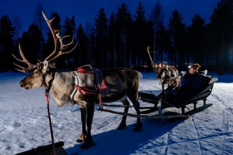 Rovaniemi: Apukka Reindeer Sleigh Ride at Night - The Sum Up