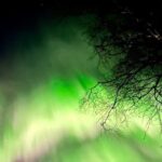 Rovaniemi: Aurora Hunting & Photography Tour - The Scenic Stops: Nature and Night Sky